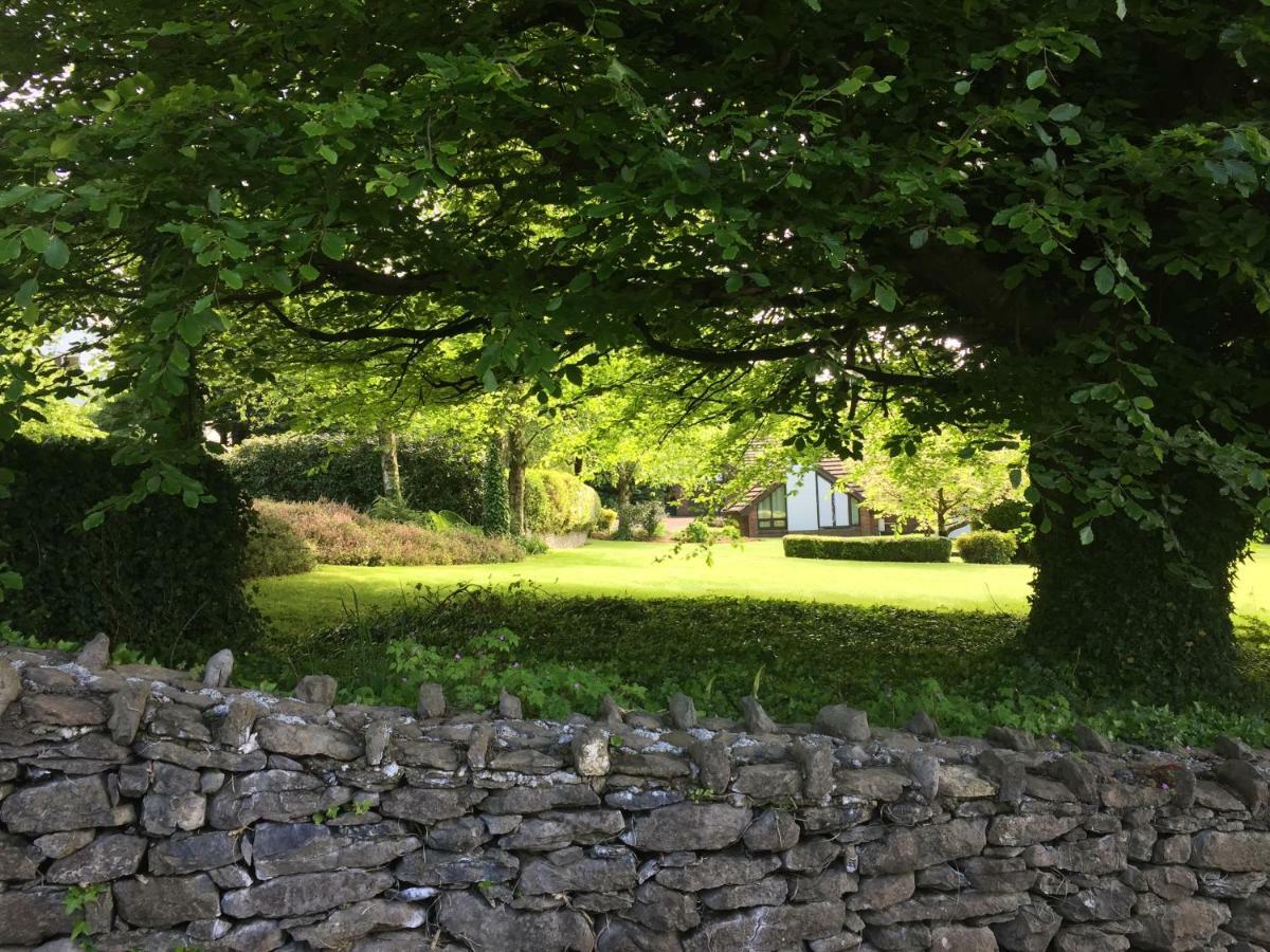 Tudor Lodge Guest Accommodation Bunratty Exterior foto